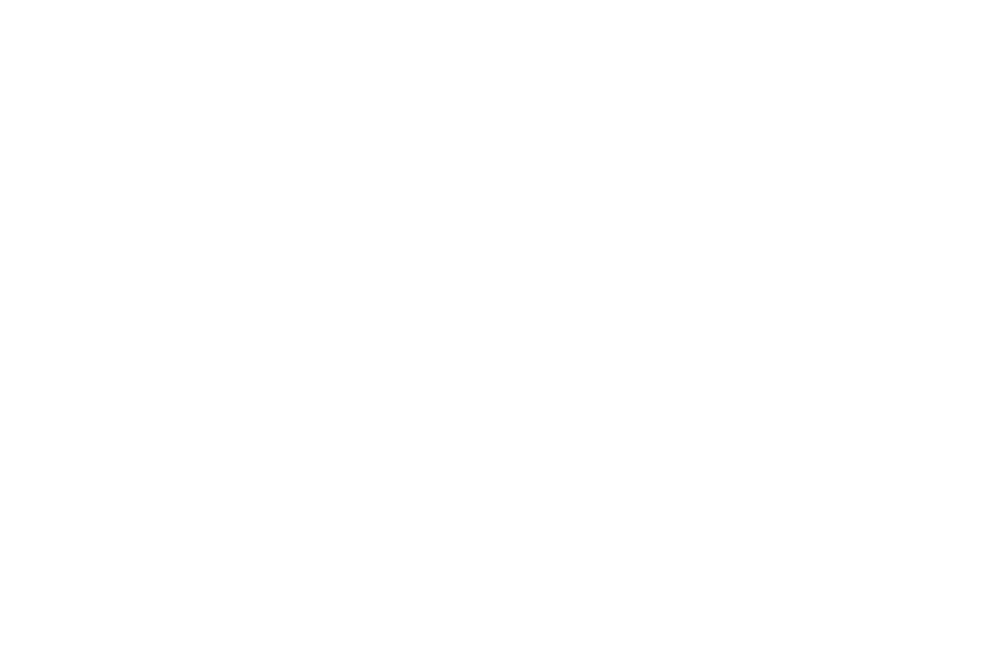 Logótipo Navigator